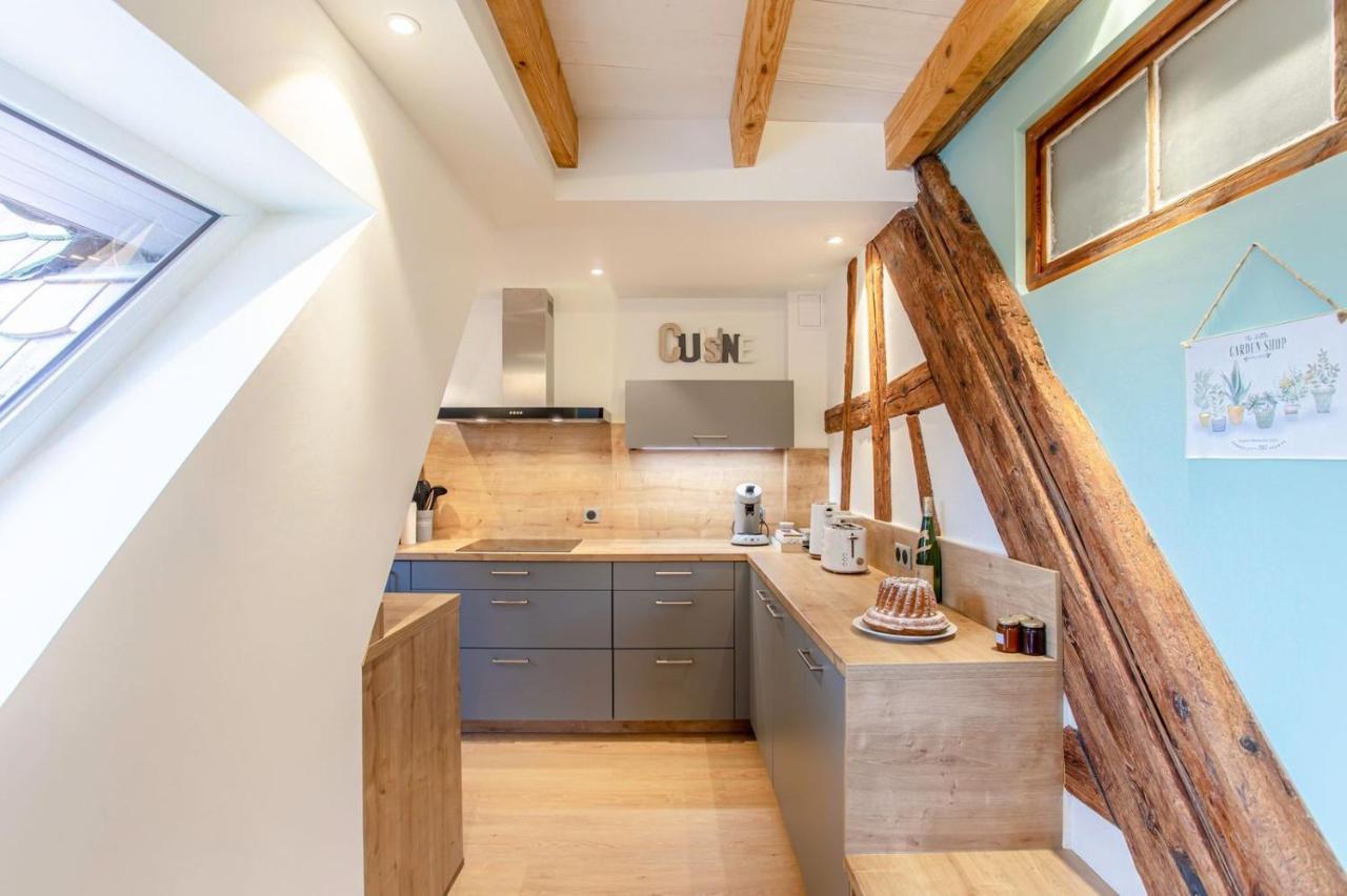 Gîte La Rodernelle - Sauna privatif - Climatisation - Vue sur le Château du Haut Kœnigsbourg Extérieur photo