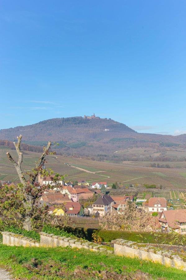 Gîte La Rodernelle - Sauna privatif - Climatisation - Vue sur le Château du Haut Kœnigsbourg Extérieur photo