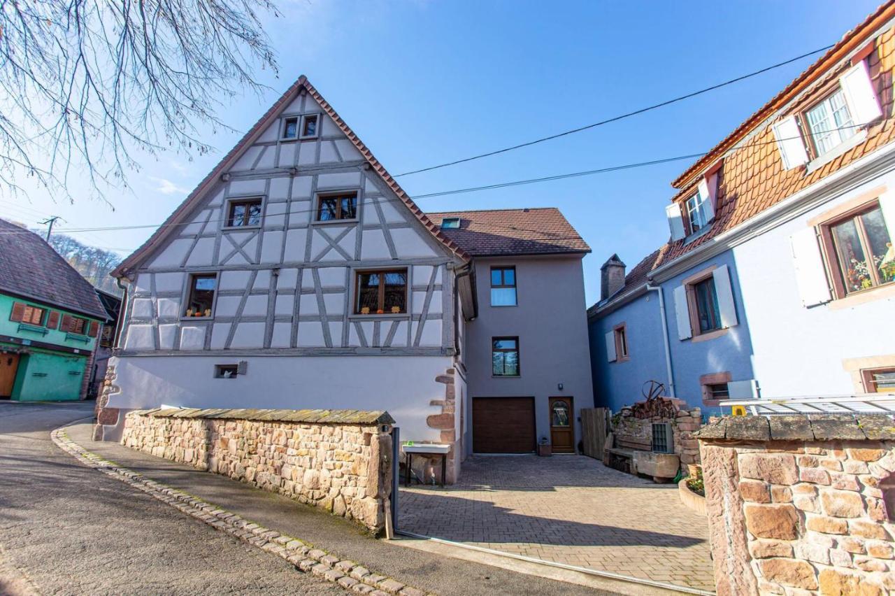 Gîte La Rodernelle - Sauna privatif - Climatisation - Vue sur le Château du Haut Kœnigsbourg Extérieur photo