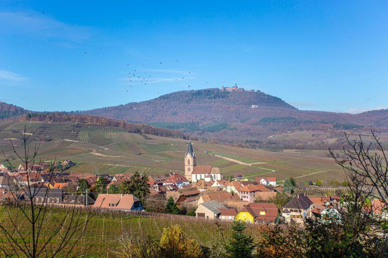 Gîte La Rodernelle - Sauna privatif - Climatisation - Vue sur le Château du Haut Kœnigsbourg Extérieur photo